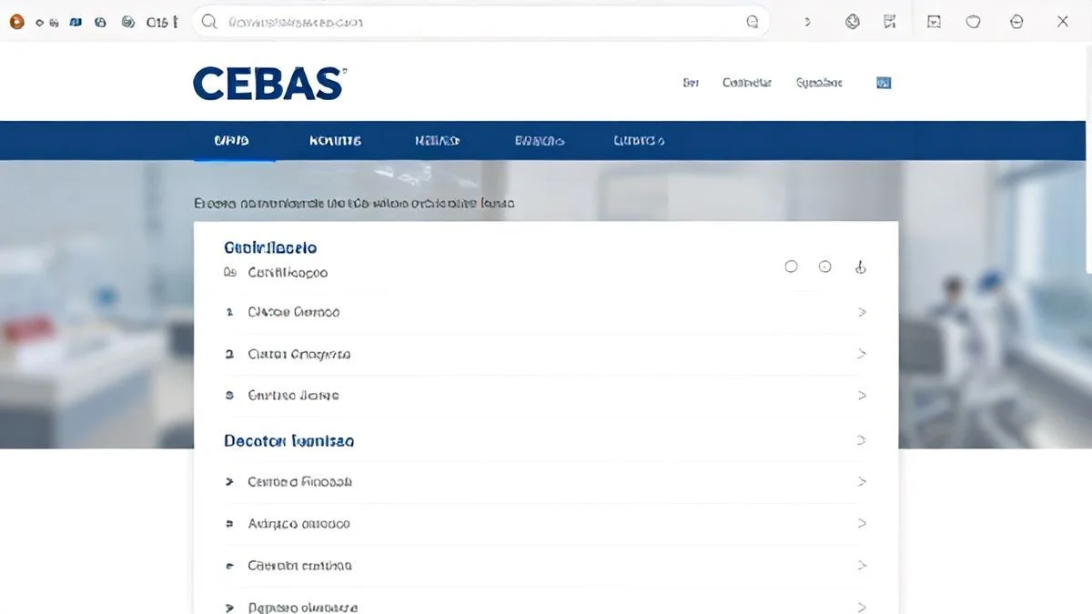 Consulta CEBAS por CNPJ: como verificar online