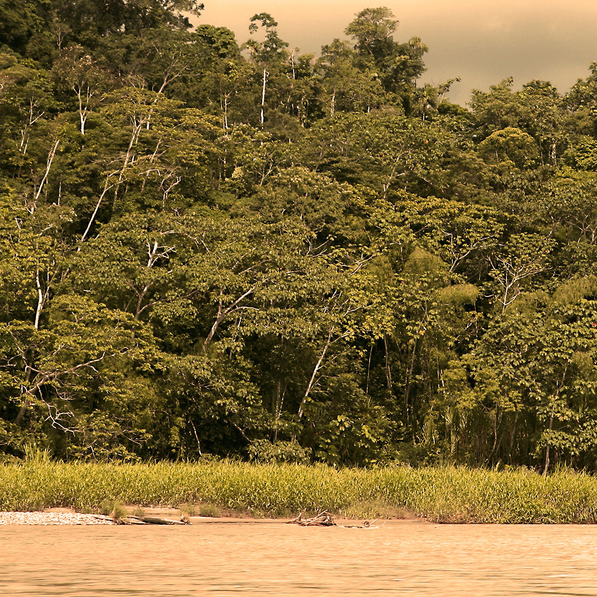 Desmatamento-na-Amazônia-2
